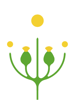 Bitutė