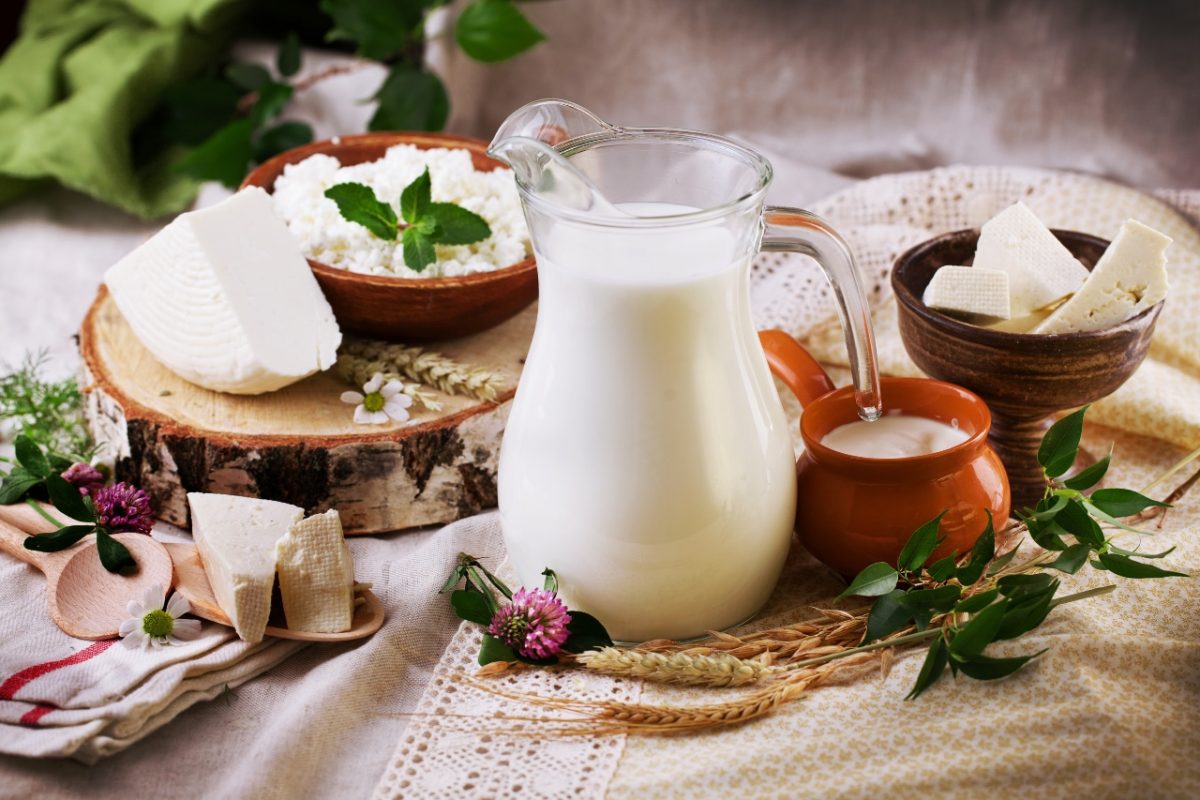 Pieno produktai – kiek ir kokių vartoti, kad būtume žvalūs