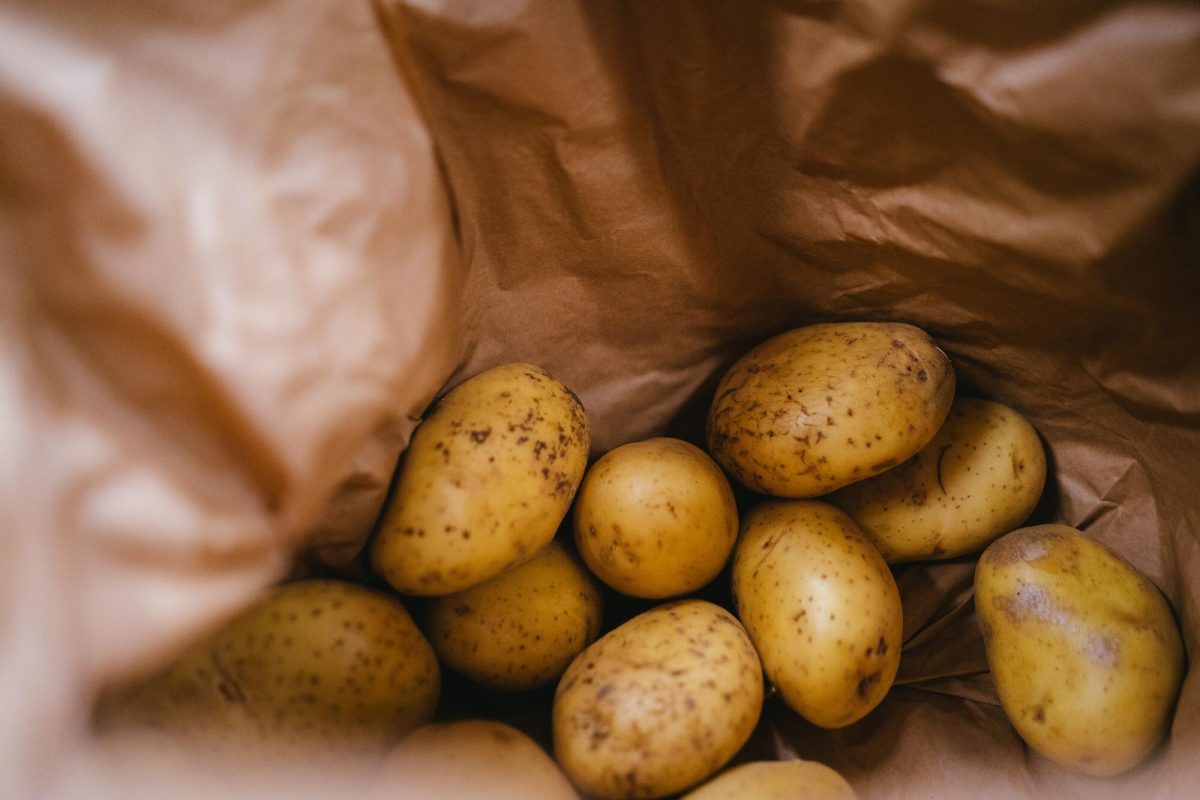 Šviežios lietuviškos bulvės: kokie iššūkiai lydi ir kada kasime derlių