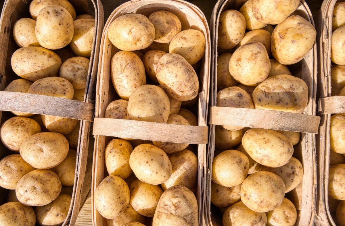 Pirmosios lietuviškos  bulvės jau pasiekė parduotuvių lentynas