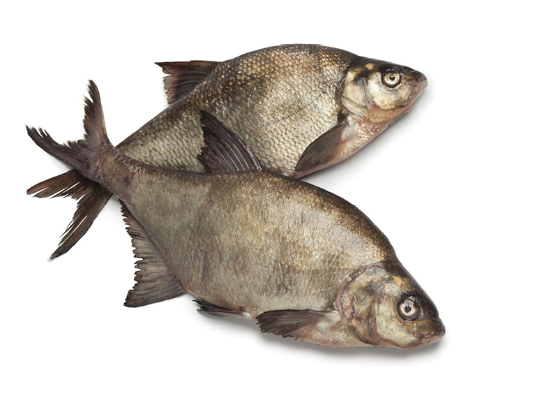 Atvėsintas, skrostas paprastasis karšis, 1 kg