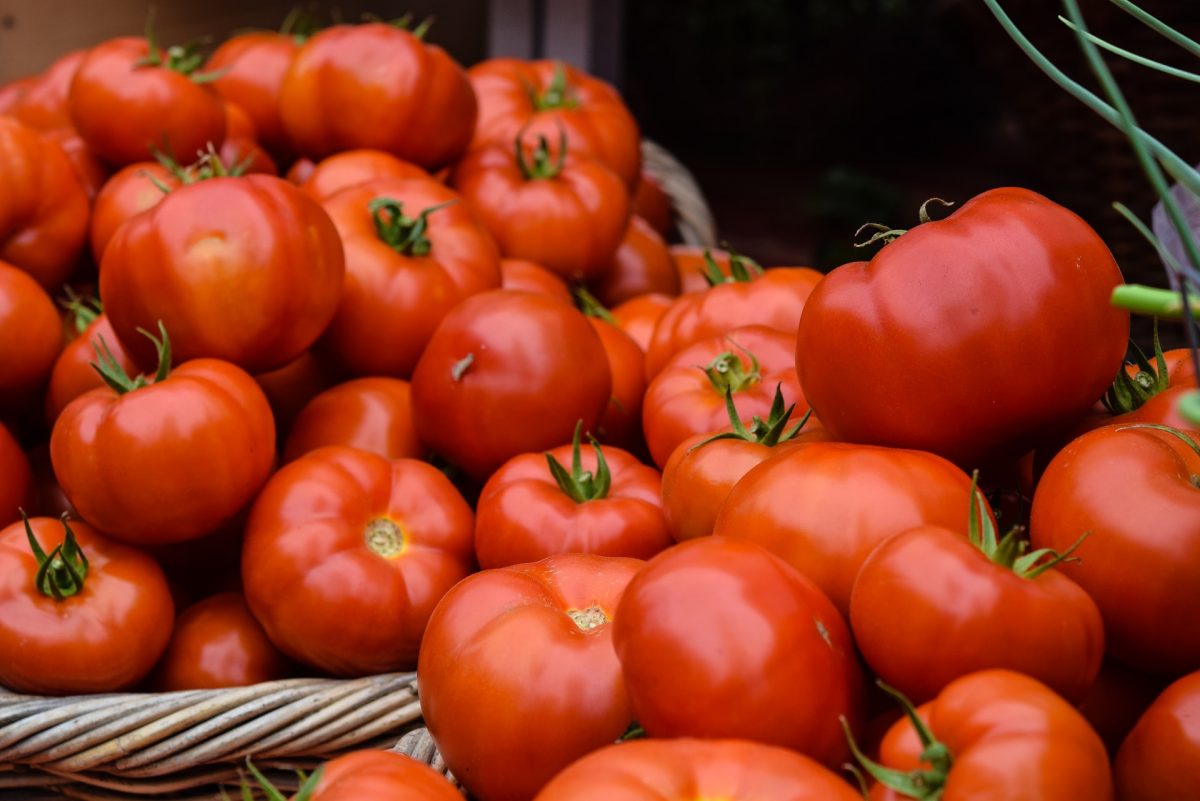 Į parduotuves atkeliauja ilgai laukti šviežio derliaus lietuviški pomidorai