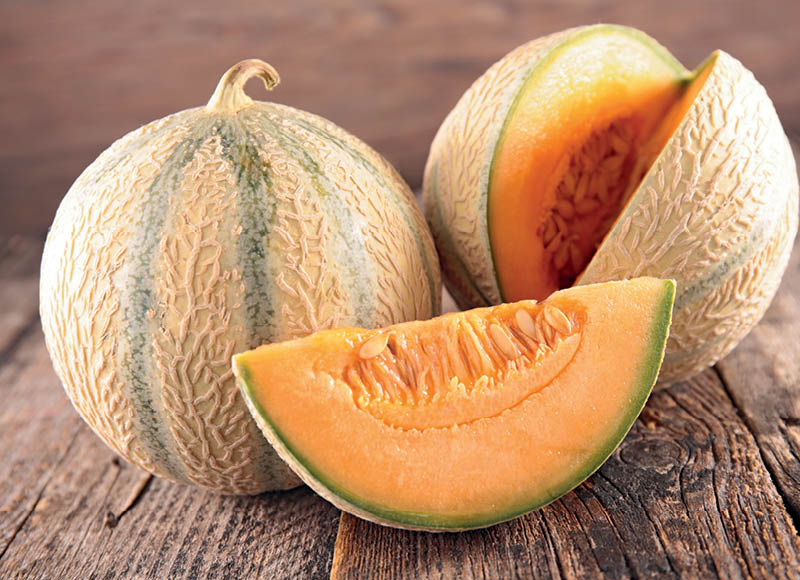 Melionai CANTALOUP
,
1 kg. A lygio parduotuvėse Melionai CANTALOUP
,
1 kg. A lygio parduotuvėse
