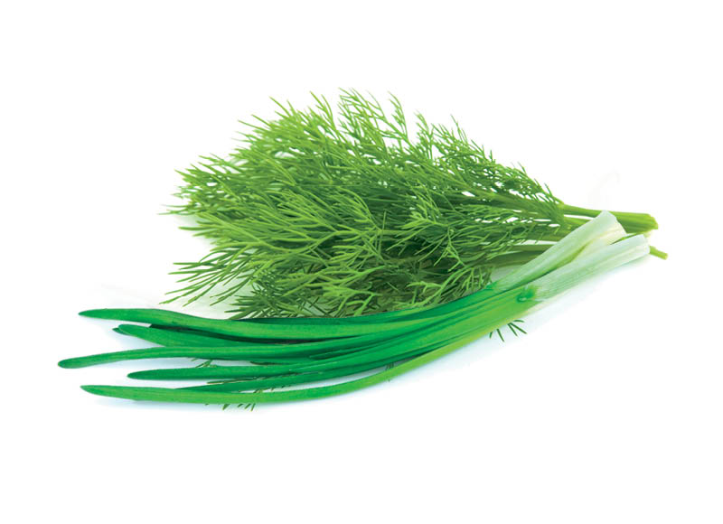 Fasuoti svogūnų laiškai