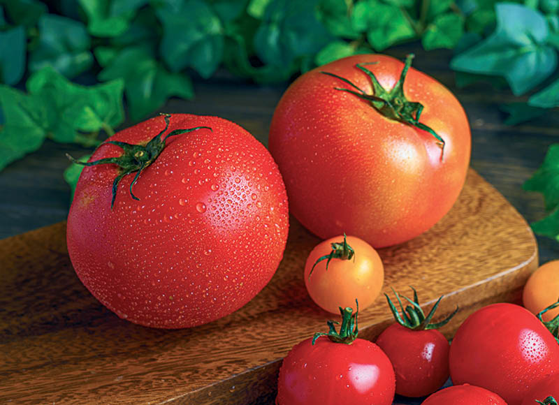 Ekologiški fasuoti pomidorai WILD
			, 
				 250 g, 7,96 Eur/kg. A lygio parduotuvėse