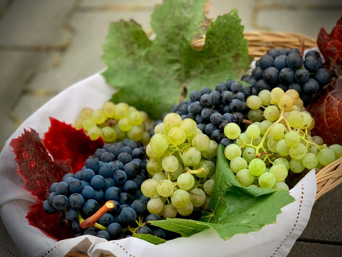 Gaivūs patiekalai su vynuogėmis: gardinkite ne tik desertus, bet ir salotas