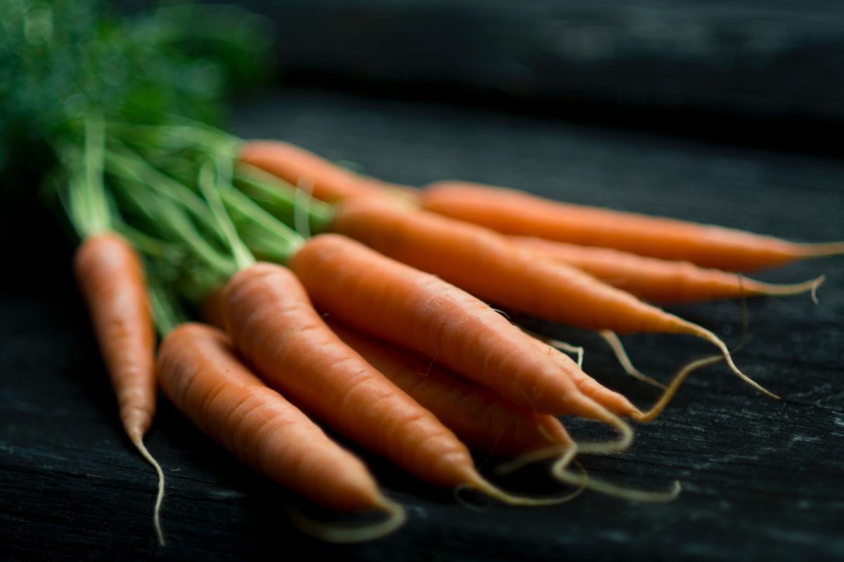 Pirmosios lietuviškos morkos – jau parduotuvėse: ūkininkas įvardijo, koks derlius laukia