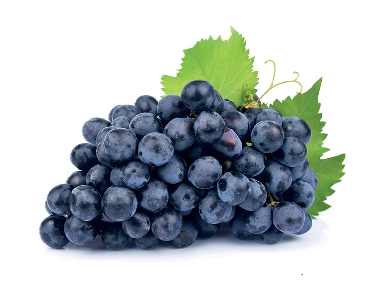Fasuotos mėlynosios ekologiškos vynuogės
,
500 g, 3,98 Eur/kg A lygio parduotuvėse Fasuotos mėlynosios ekologiškos vynuogės
,
500 g, 3,98 Eur/kg A lygio parduotuvėse