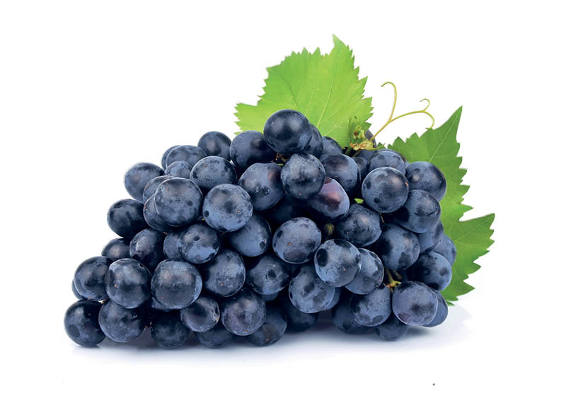Fasuotos mėlynosios besėklės vynuogės
,
500 g, 2,98 Eur/kg Fasuotos mėlynosios besėklės vynuogės
,
500 g, 2,98 Eur/kg