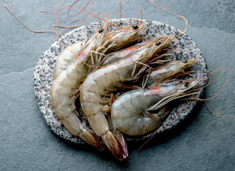 Atitirpintos baltakojės blyškiosios nevirtos krevetės su galvomis
			, 
				 1 kg. A lygio parduotuvėse