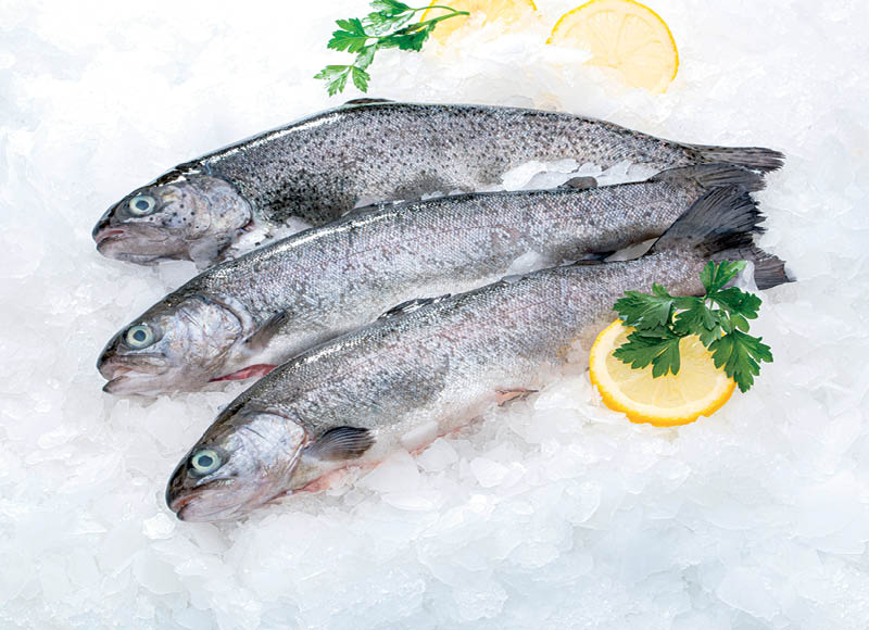 Skrosti vaivorykštiniai upėtakiai
,
1 kg. A lygio parduotuvėse Skrosti vaivorykštiniai upėtakiai
,
1 kg. A lygio parduotuvėse
