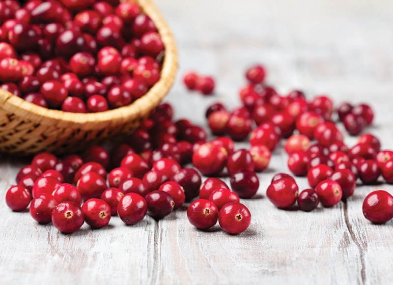 Šviežios spanguolės
			, 
				 250 g, 7,96 Eur/kg. A lygio parduotuvėse
