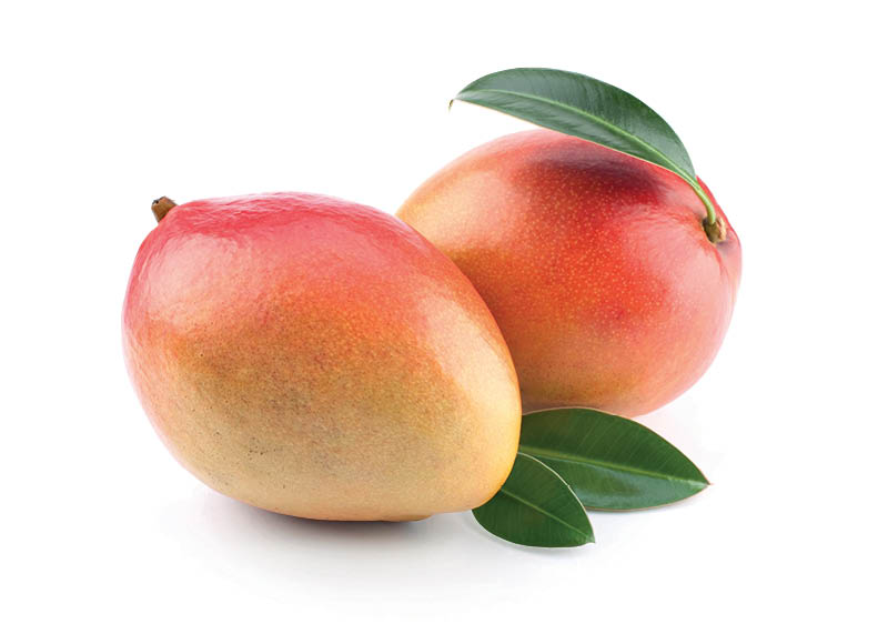 Mangai OSTEEN
			, 
				 1 vnt.