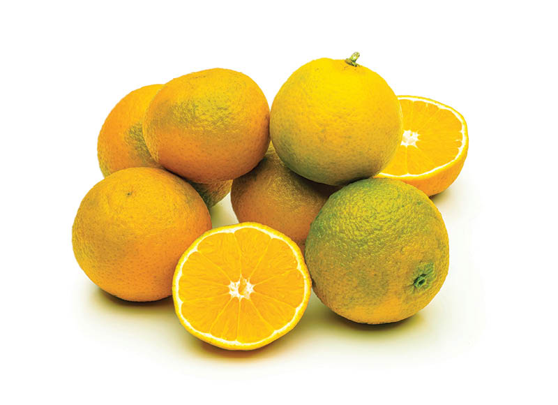 Natūraliai sunokę mandarinai
			, 
				 1,5 kg, 1,66 Eur/kg. A lygio parduotuvėse