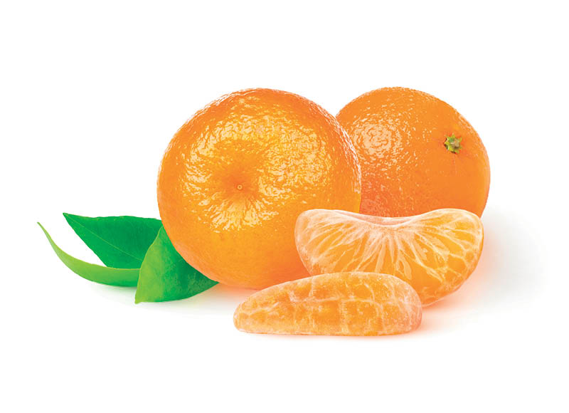 BILLA BIO fasuoti ekologiški klementinai
,
500 g, 3,98 Eur/kg. A lygio parduotuvėse BILLA BIO fasuoti ekologiški klementinai
,
500 g, 3,98 Eur/kg. A lygio parduotuvėse