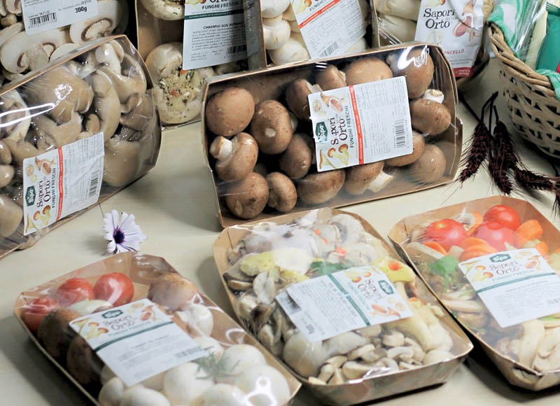 Šviežių grybų mišiniai
			, 
				 300 g, 3 rūšių, 6,63 Eur/kg (akcija galioja nuo 2022 12 20). A lygio parduotuvėse