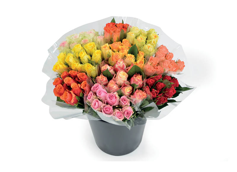 Skintos gėlės rožės
			, 
				 9 vnt., 50 cm. A lygio parduotuvėse