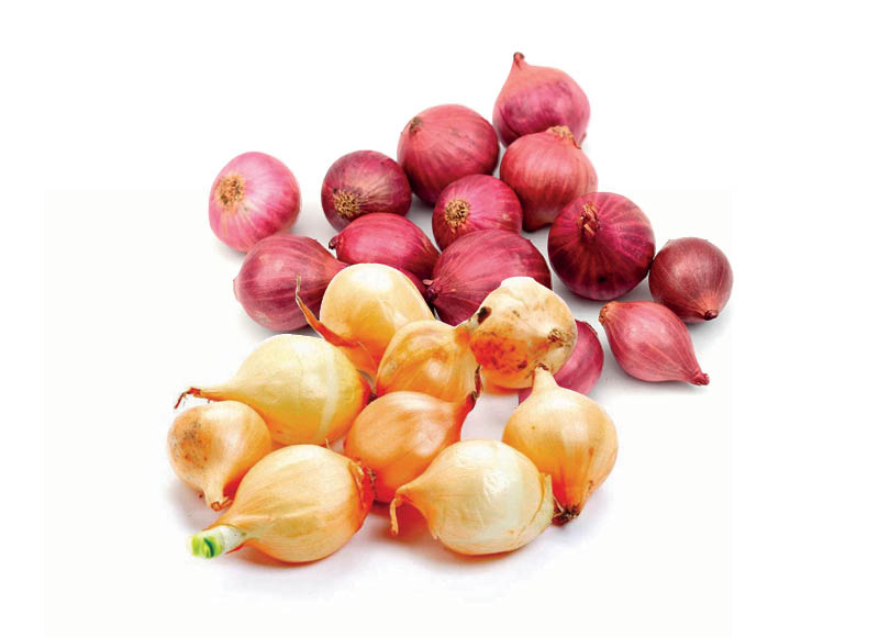 Svogūnų sodinukams
			, 
				 5 rūšių