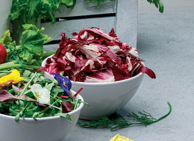 Pjaustytos RADICCHIO salotos
			, 
				 75 g, 10,53 Eur/kg. A lygio parduotuvėse