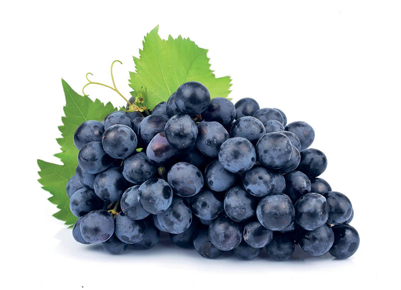 Mėlynosios vynuogės
,
500 g, 3,98 Eur/Kg. A lygio parduotuvėse Mėlynosios vynuogės
,
500 g, 3,98 Eur/Kg. A lygio parduotuvėse