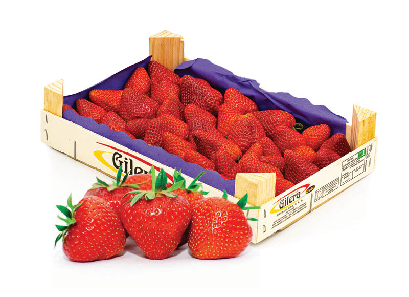 Braškės dėžutėje
			, 
				 1 kg. A lygio parduotuvėse