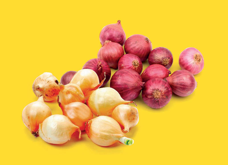 Svogūnų sodinukams
			, 
				 3 rūšių
