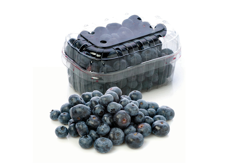 Šilauogės
,
250 g, 11,96 Eur/kg Šilauogės
,
250 g, 11,96 Eur/kg