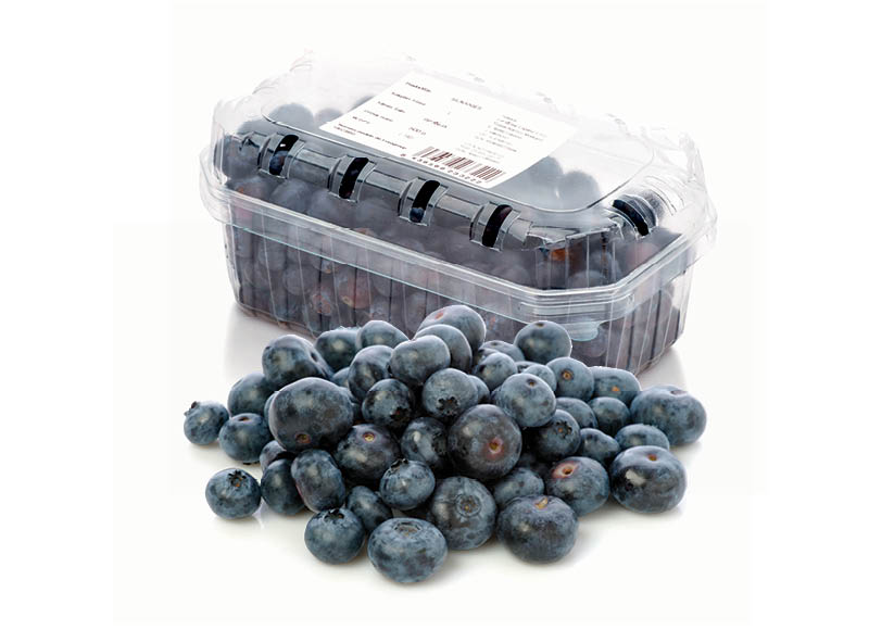 Fasuotos šilauogės
,
500 g, 9,98 Eur/kg. A lygio parduotuvėse Fasuotos šilauogės
,
500 g, 9,98 Eur/kg. A lygio parduotuvėse