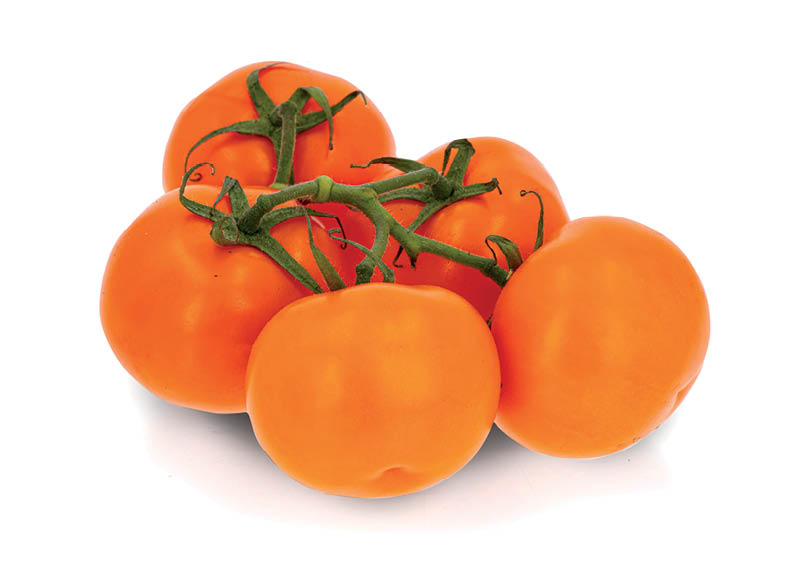 sveriami-kekiniai-oranziniai-pomidorai