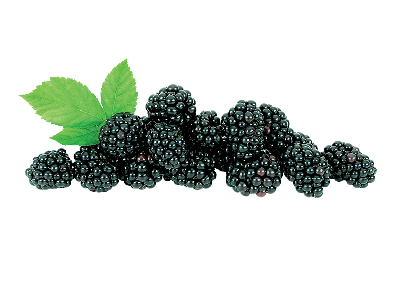 Gervuogės
			, 
				 125 g, 15,92 Eur/kg. A lygio parduotuvėse