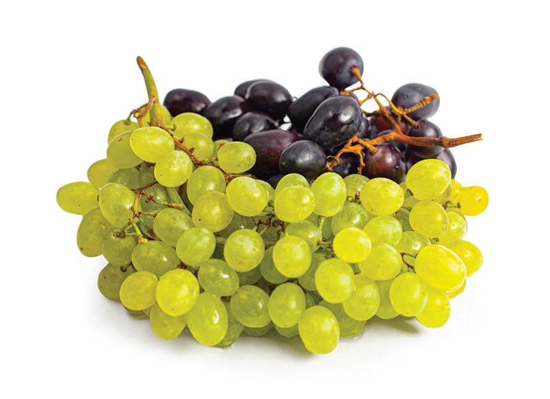 Fasuotos įvairiaspalvės vynuogės
,
500 g, 3,38 Eur/kg Fasuotos įvairiaspalvės vynuogės
,
500 g, 3,38 Eur/kg