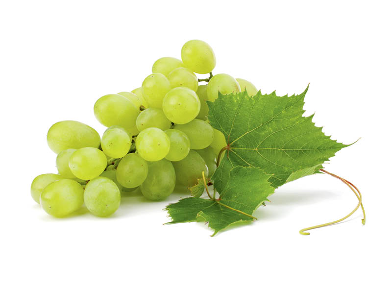 Fasuotos ekologiškos žaliosios vynuogės
,
500 g, 4,98 Eur/kg Fasuotos ekologiškos žaliosios vynuogės
,
500 g, 4,98 Eur/kg