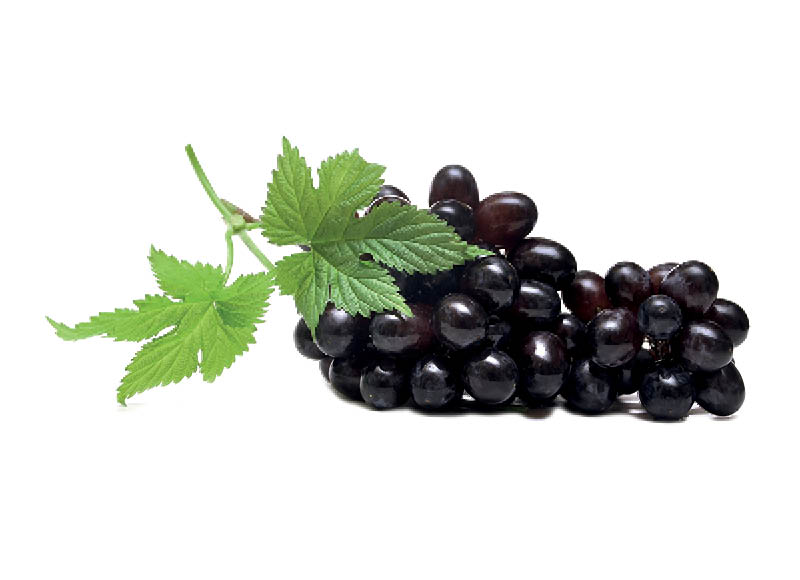 Fasuotos juodosios vynuogės SABLE
,
300 g, 6,63 Eur/kg Fasuotos juodosios vynuogės SABLE
,
300 g, 6,63 Eur/kg