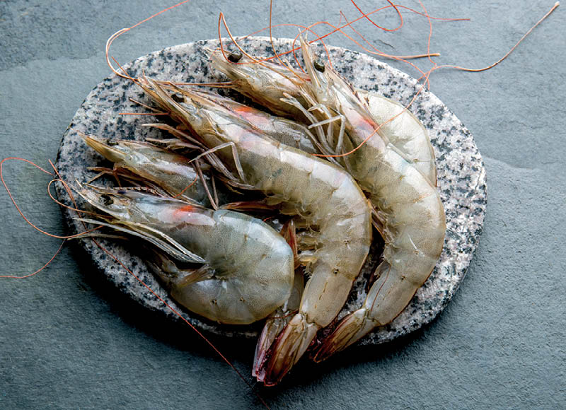 Atšildytos nevirtos krevetės su galvomis
,
1 kg. A lygio parduotuvėse. Ir IKI EXPRESS Atšildytos nevirtos krevetės su galvomis
,
1 kg. A lygio parduotuvėse. Ir IKI EXPRESS