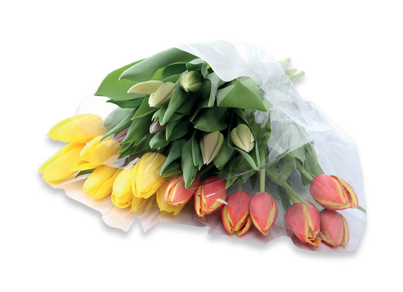 skintos-tulpes