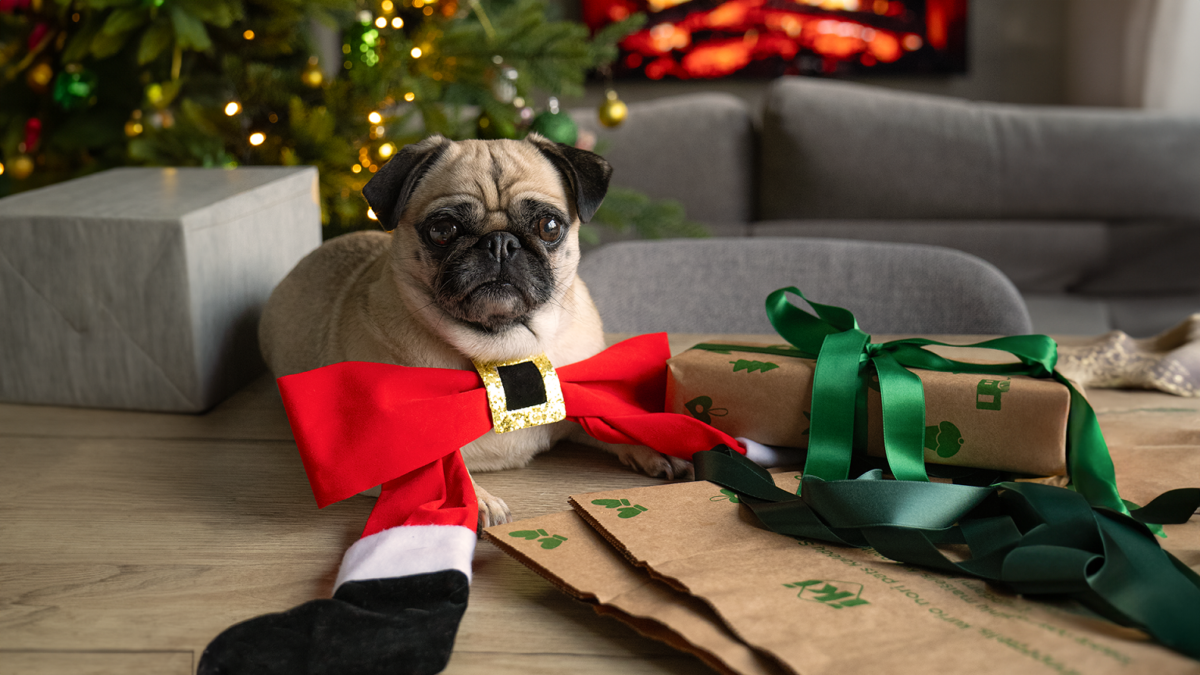 Tūkstančių jau atrasta kalėdinė gudrybė su pirkinių maišeliais – padės sutaupyti ir supakuoti net neįprastų formų dovanas
