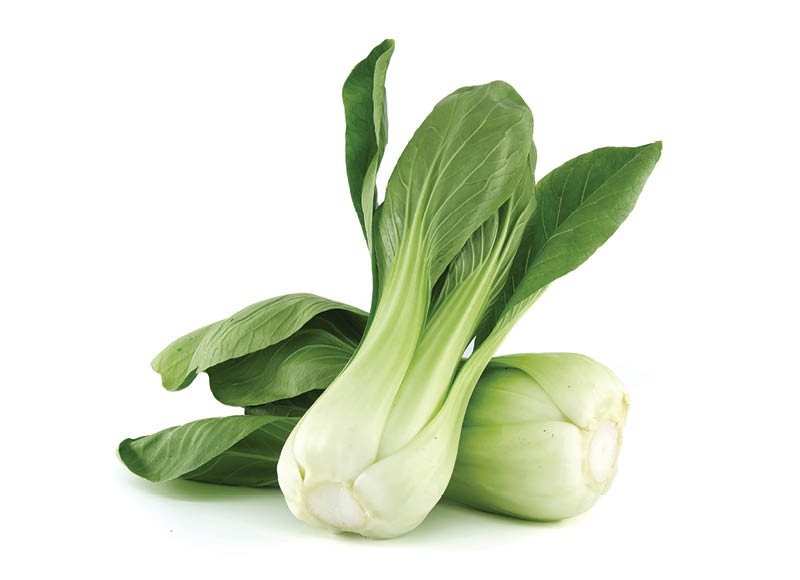 salotos-pak-choi