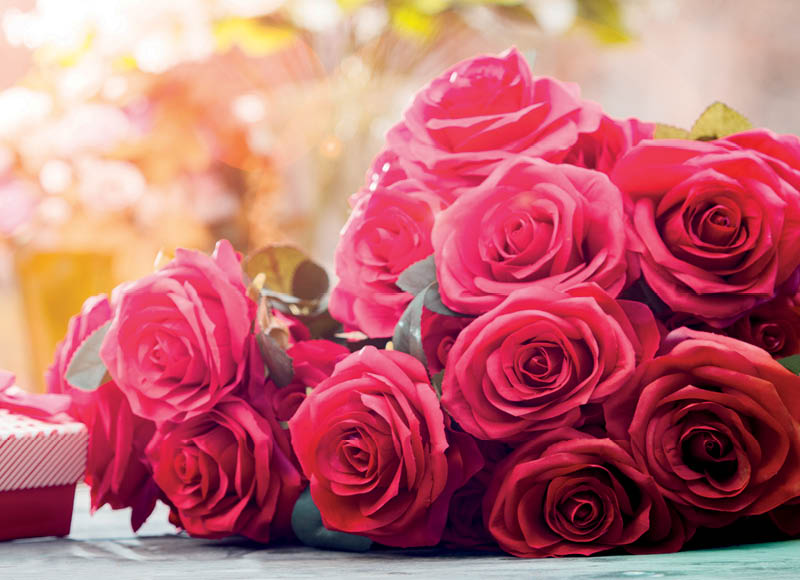 skintos-rozes