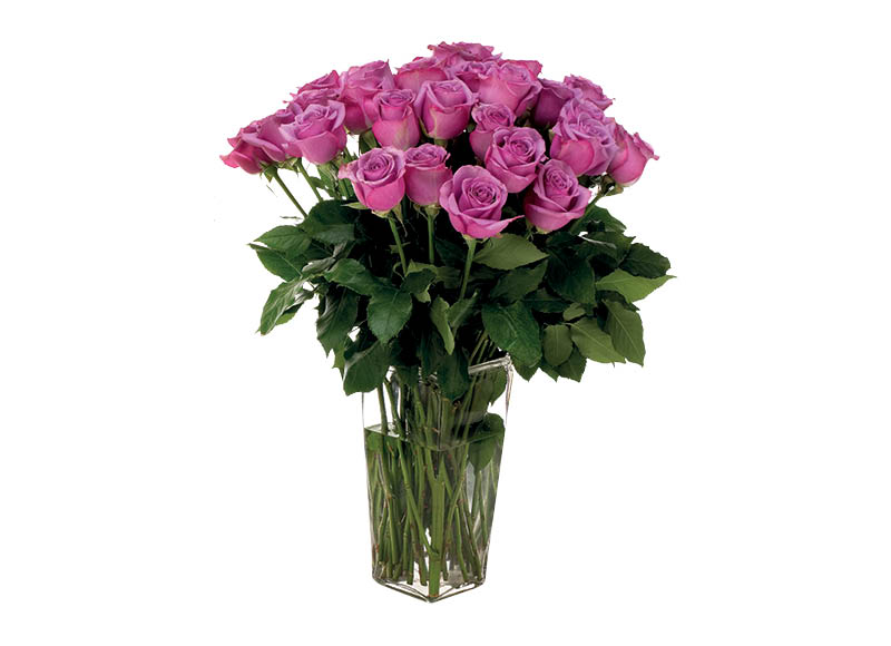 skintos-rozes-3