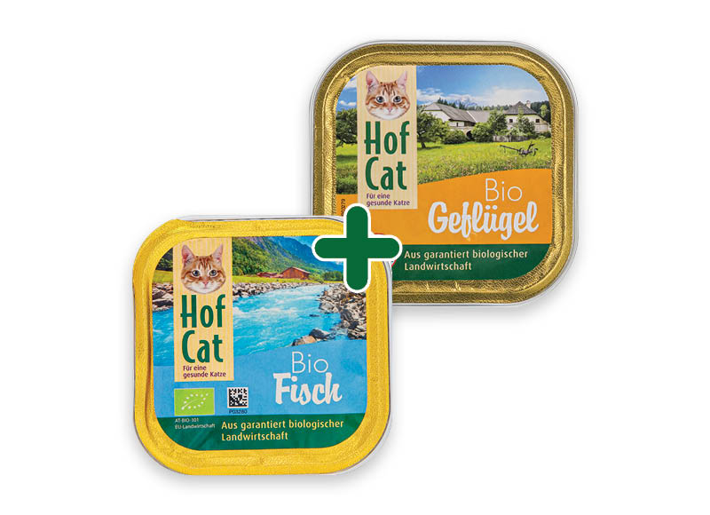 kaciu-pastetas-hof-cat-bio
