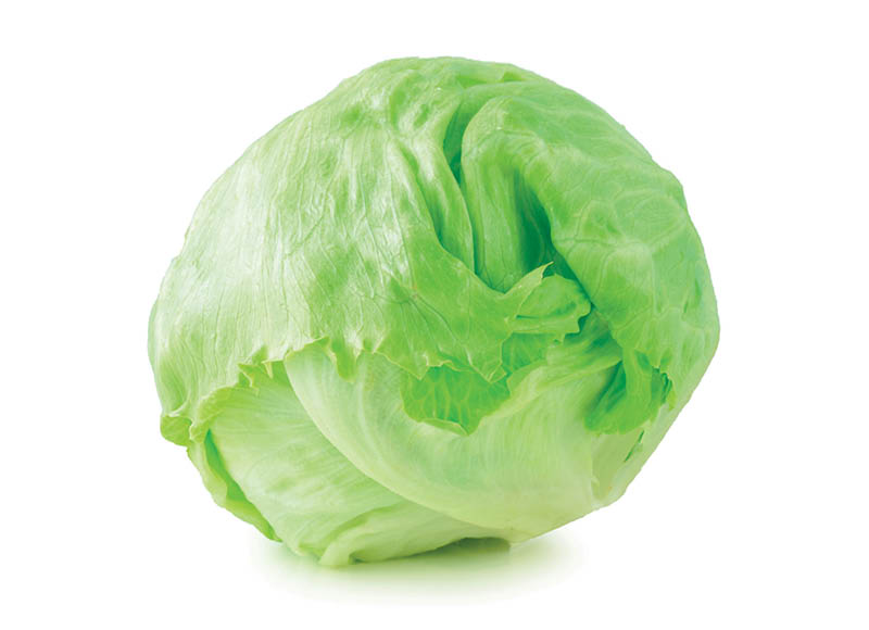 salotos-iceberg