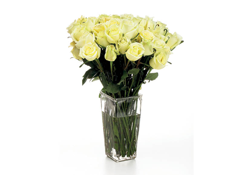 skintos-rozes-2
