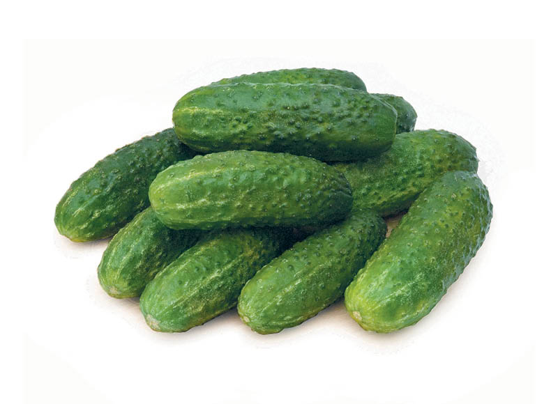 lietuviski-trumpavaisiai-agurkai-3