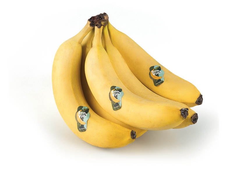 bon-via-bananai