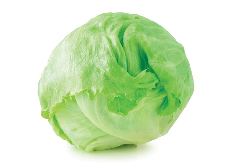 salotos-iceberg
