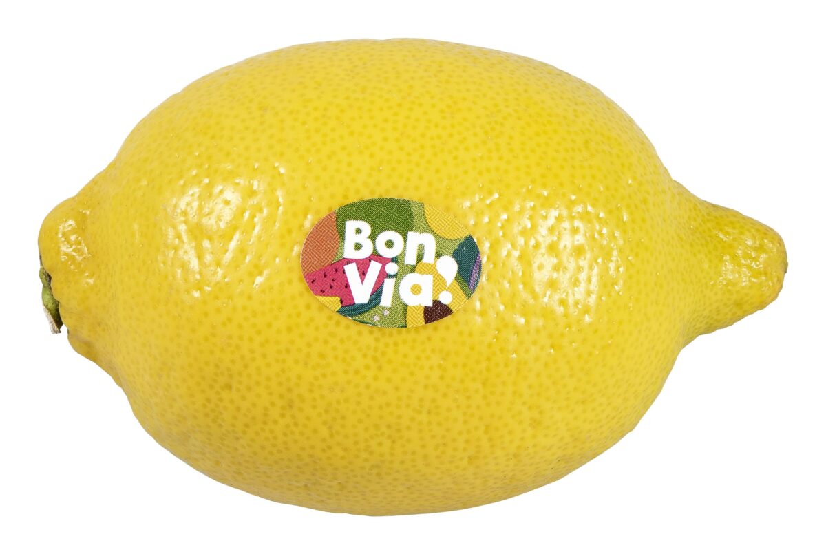 bon-via-citrinos