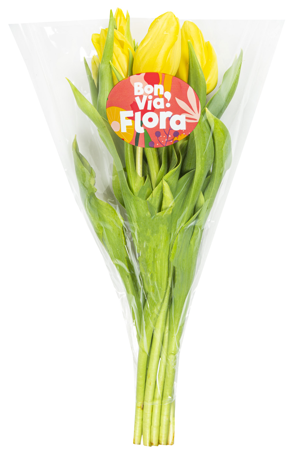 bon-via-flora-skintos-tulpes-35-cm-7-vnt