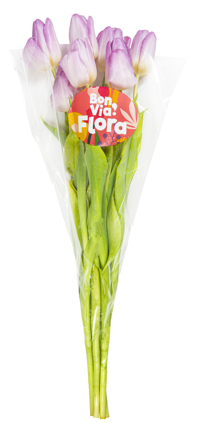 bon-via-flora-skintos-tulpes-pilnavidures-35-cm-7-vnt