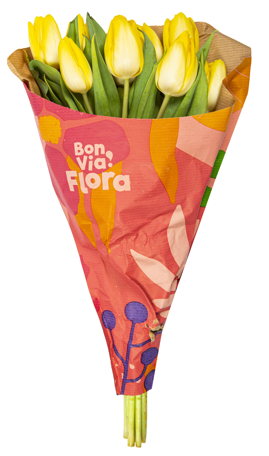 bon-via-flora-skintos-tulpes-35-cm-9-vnt