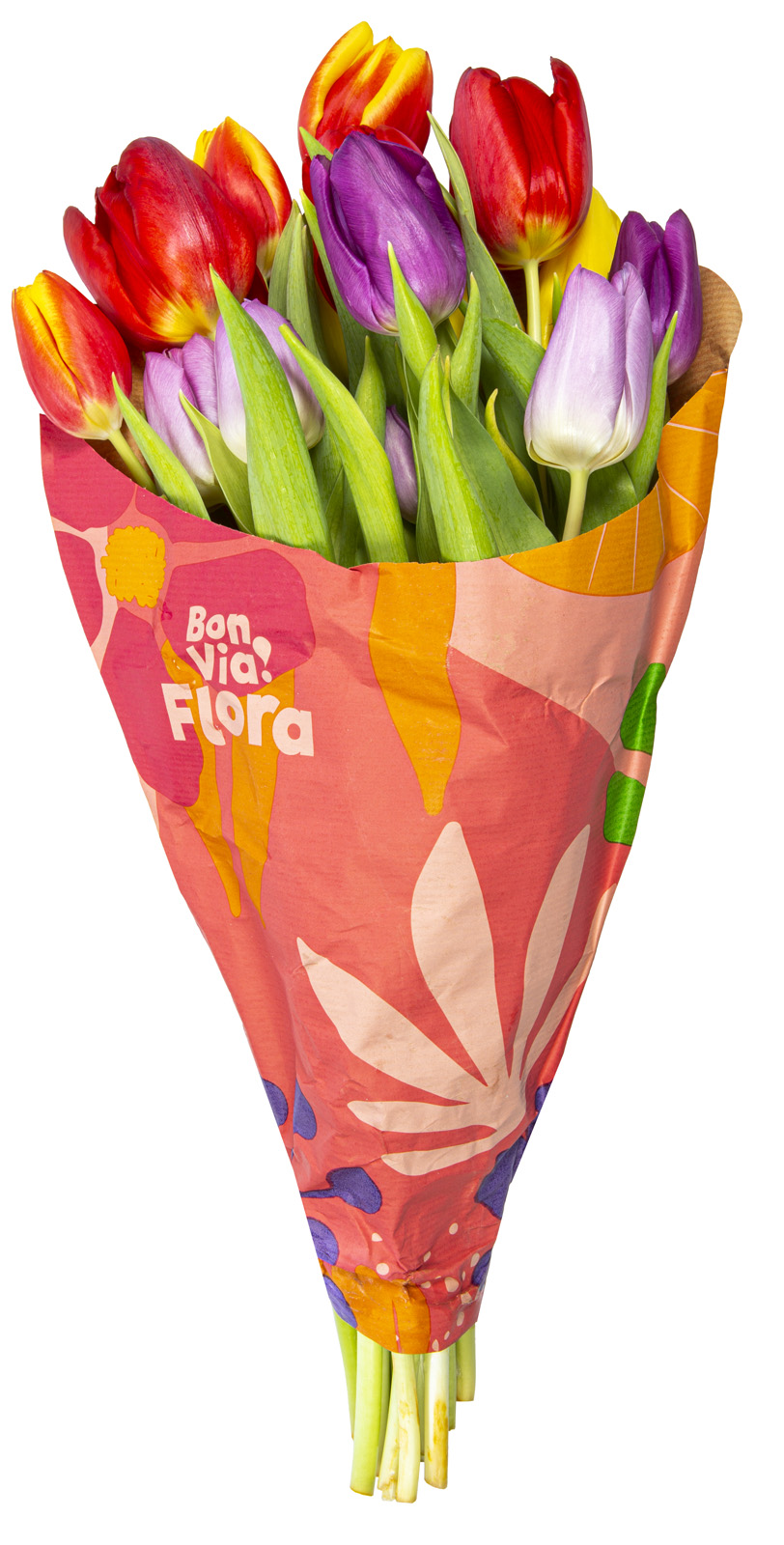 bon-via-flora-skintos-tulpes-ivairiaspalves-35-cm-11-vnt